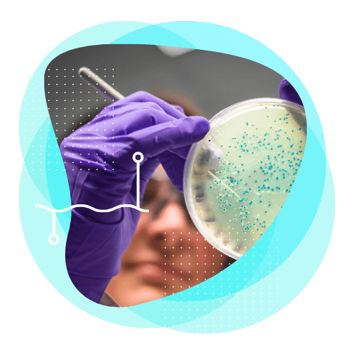 website - image science